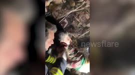 Young boy rescued from rubble 19 hours after earthquake in Malatya, Turkey