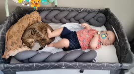This baby and tabby cat have the cutest relationship