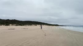 Girl running towards seagulls. Flying away seagulls. Beach running