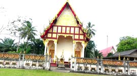 Bees and wasps build massive nests inside Buddhist temple in Thailand