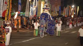 Elephants wear extravagant costumes as Sri Lankan capital celebrates Navam Full Moon Poya