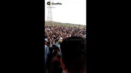 Bull race announcement