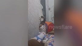 'Spider-Cat' playfully climbs up mattress with two disabled hind legs