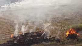 Farmers seen burning crops and further adding to air pollution across Thailand