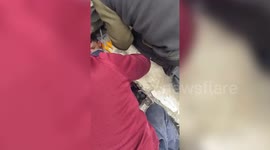 Emotional scene as little boy pulled out of rubble alive in Turkish city