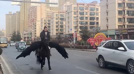 Real-life Pegasus! Chinese man rides horse with wings down road