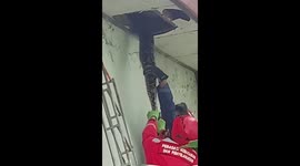 Rescue team wrangles massive python from inside roof of Indonesian home, eventually