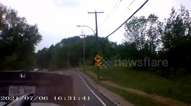 Accident: Driver Distracted by Dog Gets into a Rear-End Collision