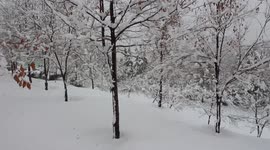 Heavy snowfall in Kabul, Afghanistan