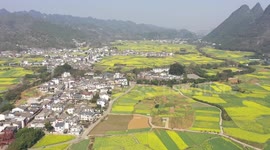 Tourists View Rapeseed Flowers In Xingyi, China
