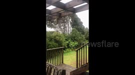 New Zealand: Cyclone Gabrielle Brings Heavy Rains And Powerful Winds