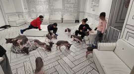 Shanghai kids are having fun with cute little piglets