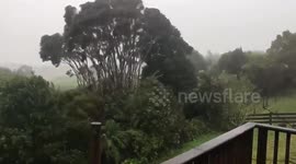 New Zealand: Cyclone Gabrielle Lashes North Island With Heavy Rain And Strong Winds