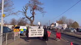 Protests against cutting down of 100-year-old oak tree in Rochford, England