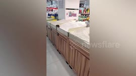 Rat spotted running around on loose rice at Chinese supermarket
