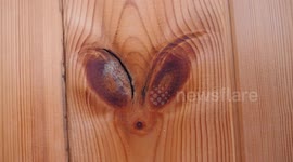 I can see alien heads in my bedroom ceiling, can you see them too?