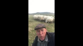 Talking about the benefits of wool and shearing