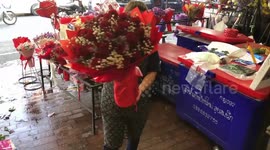 Red roses sales soar on Valentine's Day in northern Thailand