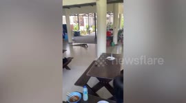 Godzilla-like monitor lizard rampages through university canteen