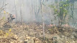 Helicopters douse forest fires as air quality drops in northern Thailand
