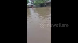Homeowner wades through inundated garden as the Philippines hit with floods