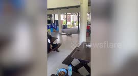 Ferocious monitor lizard rampages through university canteen