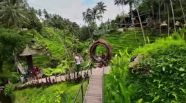 Drone FPV in Bali Rice Terraces pushing through obstacles