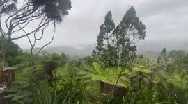 Cyclone Gabrielle in Auckland, New Zealand
