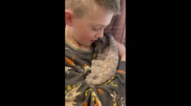 Heartwarming moment boy reassures shaking puppy after its bath