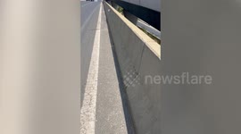 Hero rider pulls over at bridge to save lost cat