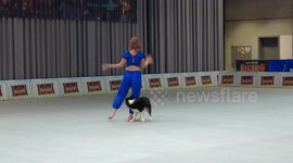 Talented dog performs intricate Arabic dance alongside owner during competition