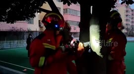 Chinese firefighters expand trunk to free boy trapped in tree boy
