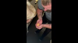 Father pranks animal-loving son with fake egg hatch