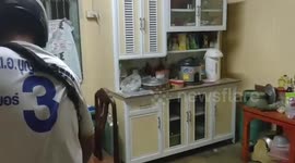 Terrified family find cobra coiled up under their kitchen cupboard