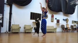 Woman and border collie practising dance moves together