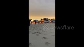 Investigation underway as humpback whale washes ashore in New Jersey