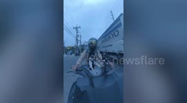 Pet Pug watches passing cars while sitting in front of moving motorcycle