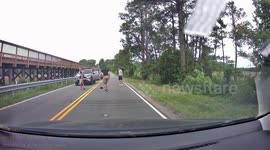WTF Moment: Snapping Turtle Obstructs Road Halting Traffic But a Lady Saves The Day