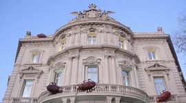 Cuban artist installs giant cockroaches in Madrid to draw attention to threats to human race