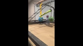 Sweet parrot loves saying 'love you' in adorable viral clip
