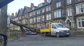 Storm Otto: Tree falls damaging Porsche car as strong winds batter North Yorkshire, England