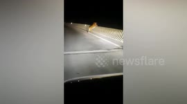Chinese motorist encounters endangered Siberian tiger lying on highway guardrail
