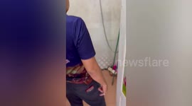 Fearless rescuer catches king cobra using bare hands