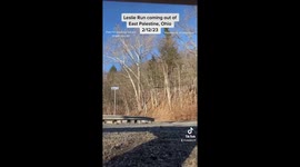 Hundreds of dead fish seen at creek near ecological disaster in East Palestine, Ohio