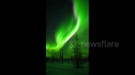 Splendid Northern Lights show appears in Fairbanks, Alaska
