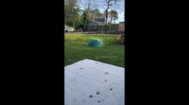 My colleague got caught pretending to be a tortoise