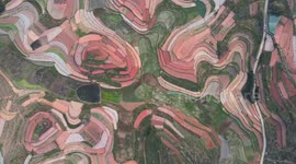 Stunning drone footage shows farmers working in colorful fields in Nanning, China