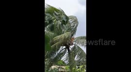 Mauritius: Winds Begin To Intensify As Cyclone Freddy Approaches 2
