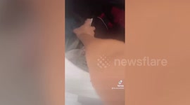 Self-proclaimed housewife spends 6 hours cooking and cleaning