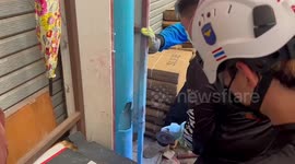 Firemen cut through PVC gutter pipe to save kitten stuck inside